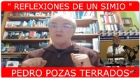 Reflexiones de un Simio