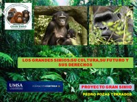 Clase Diplomatura Internacional Derecho Animal