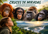 Exposición Cruces de miradas en Tres Cantos (Madrid)