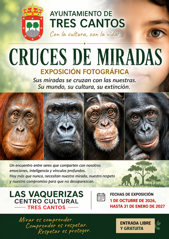 cruces0