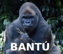 9 BANTU.jpg