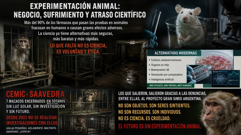 experimentacion1