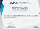 UMSA