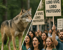lobo3