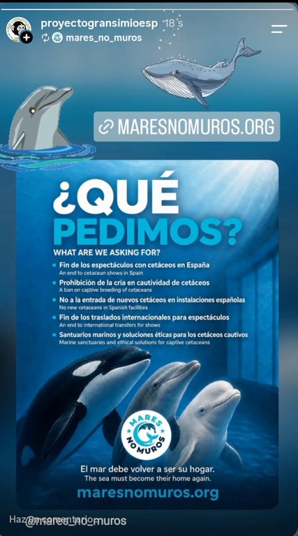 maresnomuros
