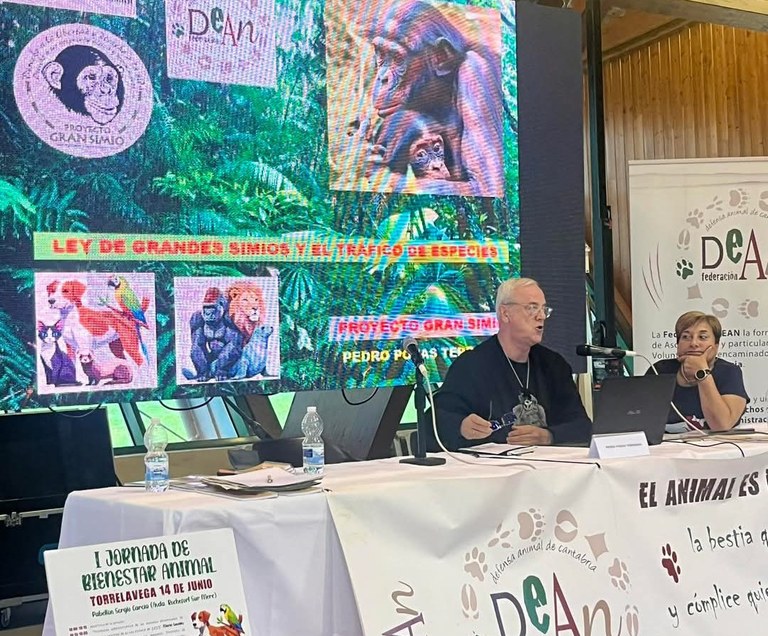 jornadas