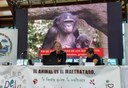 jornadas1