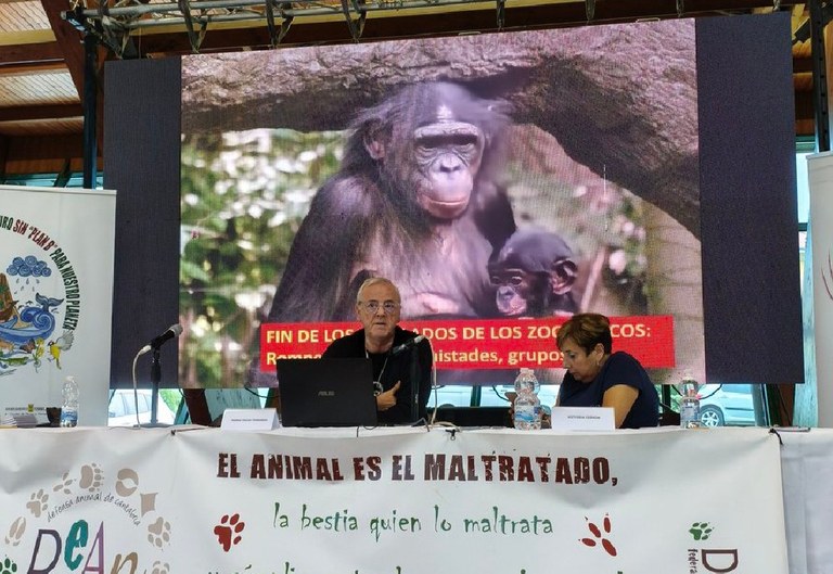 jornadas1