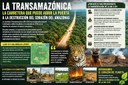 ama