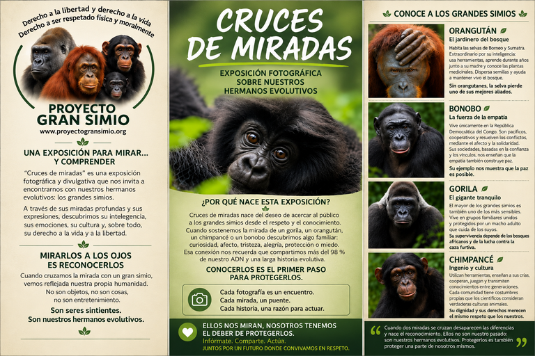 cruces01