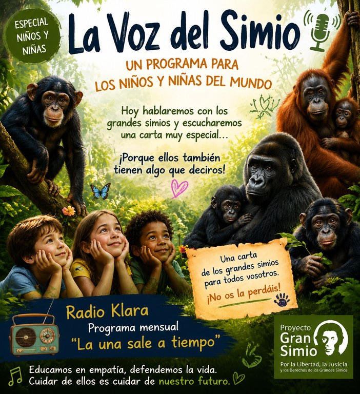 voz 9