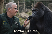 La voz del simio - 3
