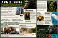 La voz del simio 8