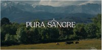 Serie de Televisión "Pura Sangre"