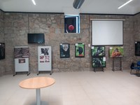 Cruces de miradas - Exposición