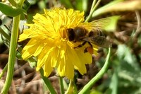 Educación y naturaleza