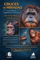 Exposición "Cruces de miradas" en el Congreso