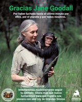 Gracias Jane Goodall