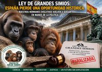 La ley de grandes simios hundida. Sus responsables