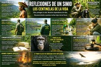 Los centinelas de la vida