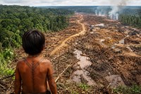 Transamazónica: la carretera de la muerte